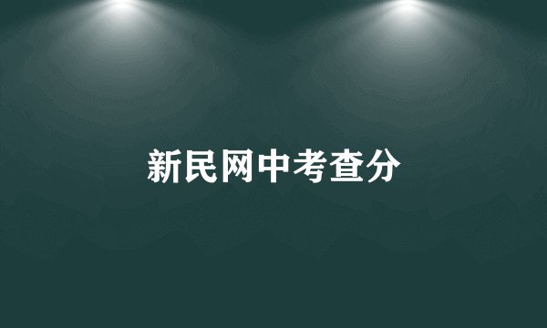 新民网中考查分