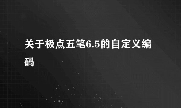 关于极点五笔6.5的自定义编码