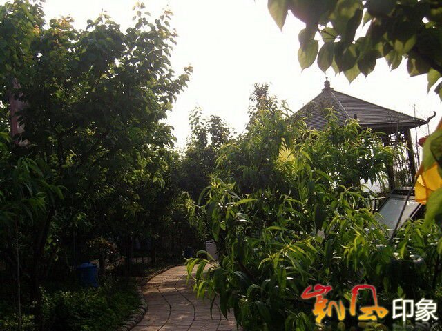 名索网的LOGO释义