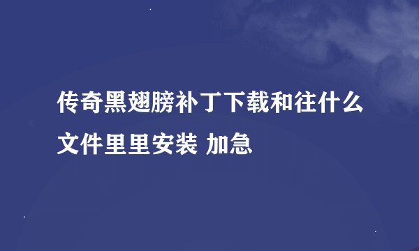 传奇黑翅膀补丁下载和往什么文件里里安装 加急