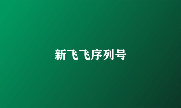 新飞飞序列号