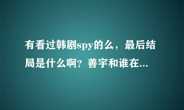有看过韩剧spy的么，最后结局是什么啊？善宇和谁在一起了？？？