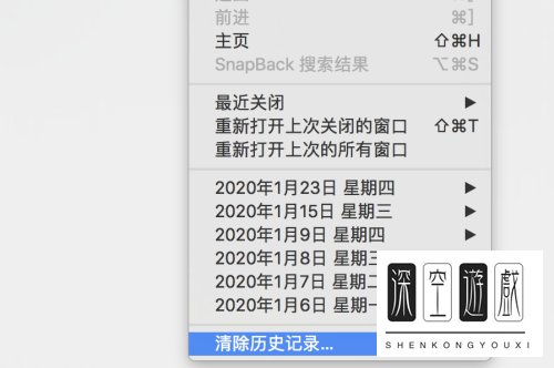 safari浏览器在地址栏输入内容无法搜索