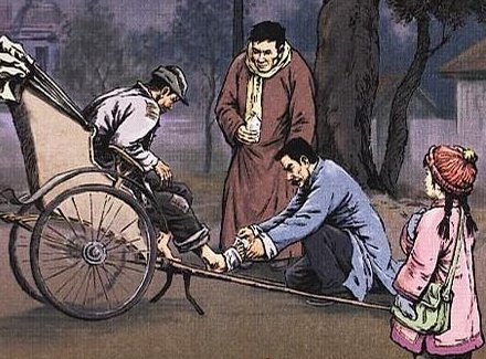 《我的伯父鲁迅先生》主要内容是什么？