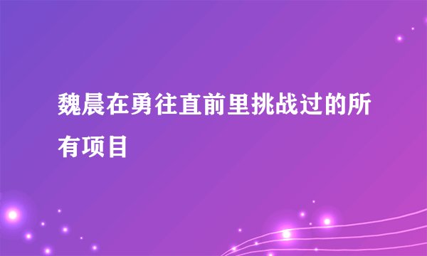 魏晨在勇往直前里挑战过的所有项目