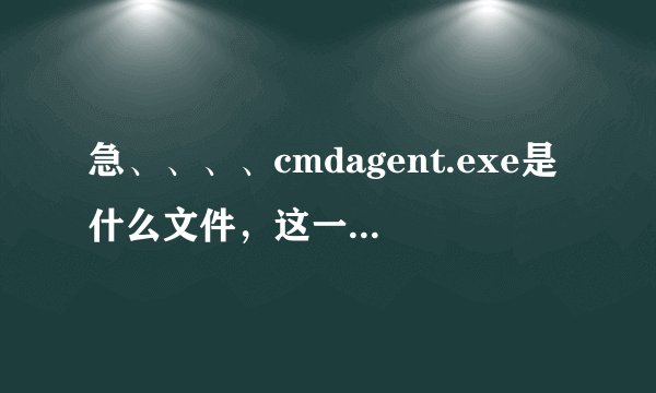 急、、、、cmdagent.exe是什么文件，这一个占了我325MB内存。