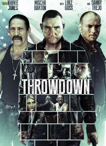 铁胆威龙的剧情简介