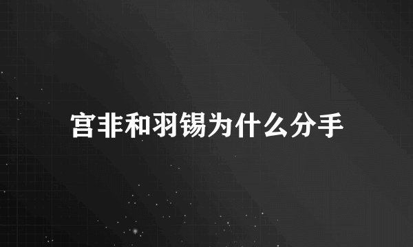 宫非和羽锡为什么分手