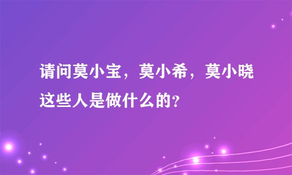 请问莫小宝，莫小希，莫小晓这些人是做什么的？