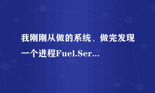 我刚刚从做的系统、做完发现一个进程Fuel.Service.exe