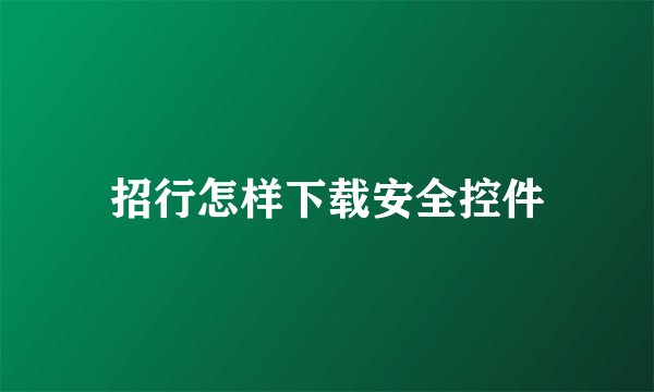 招行怎样下载安全控件
