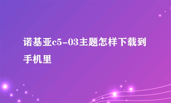 诺基亚c5-03主题怎样下载到手机里