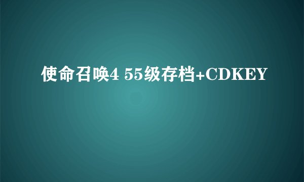 使命召唤4 55级存档+CDKEY