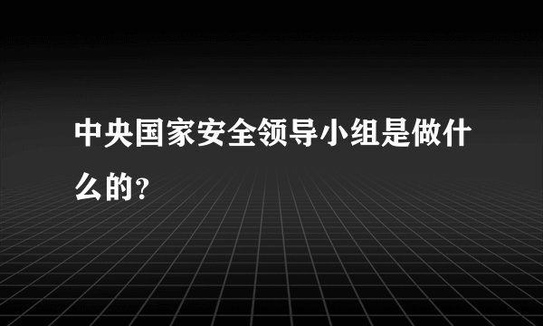 中央国家安全领导小组是做什么的？