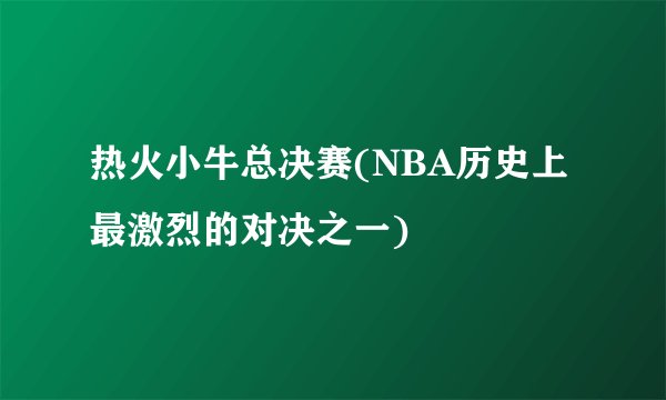 热火小牛总决赛(NBA历史上最激烈的对决之一)