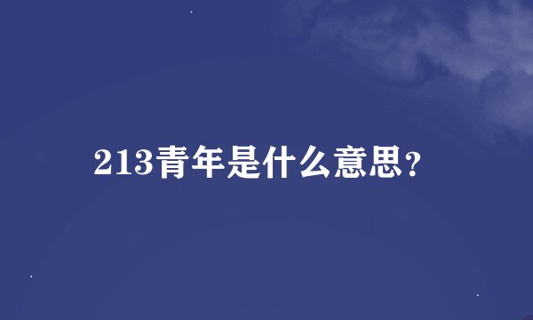 213青年是什么意思？