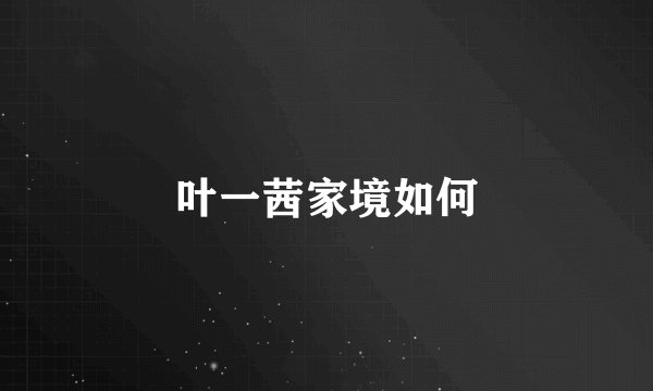 叶一茜家境如何