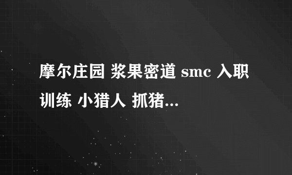 摩尔庄园 浆果密道 smc 入职训练 小猎人 抓猪 怎么抓？蓝色的用泡泡果实和水弹怎么都没用？