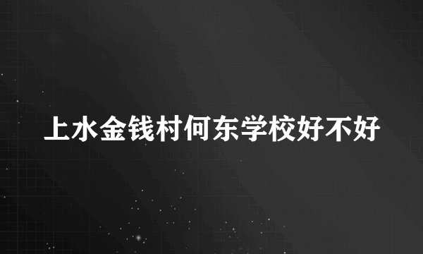 上水金钱村何东学校好不好