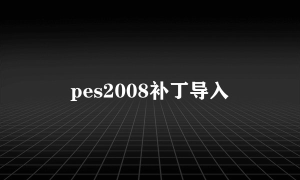 pes2008补丁导入