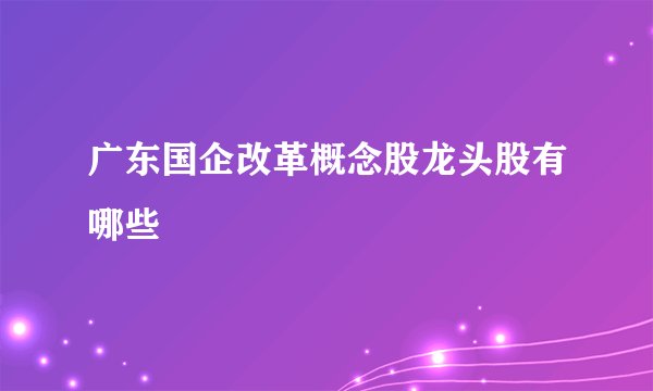 广东国企改革概念股龙头股有哪些