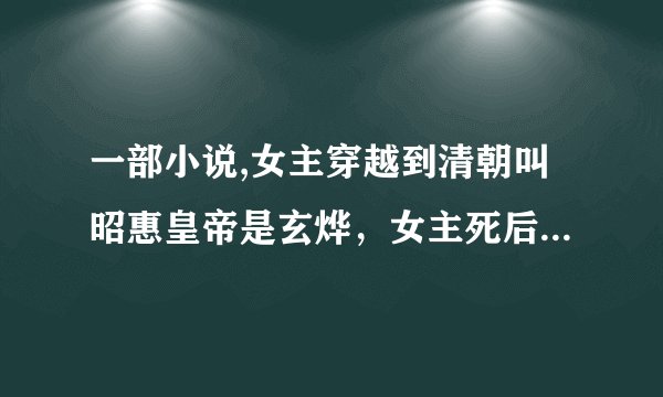 一部小说,女主穿越到清朝叫昭惠皇帝是玄烨，女主死后回到现代在朋友帮助下又回到古代，谢谢！