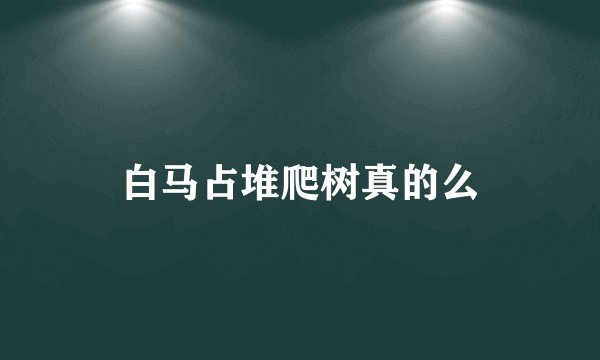 白马占堆爬树真的么