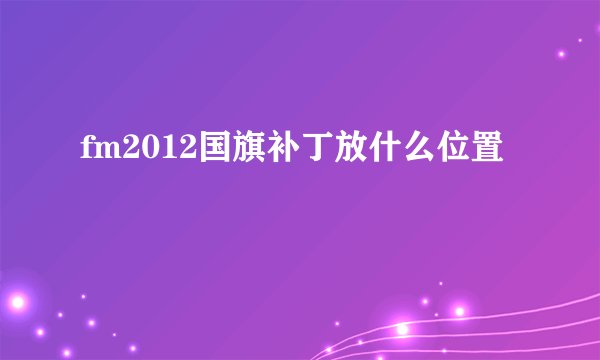 fm2012国旗补丁放什么位置