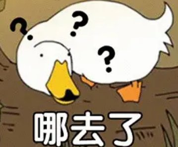 去了的拼音怎么拼词典