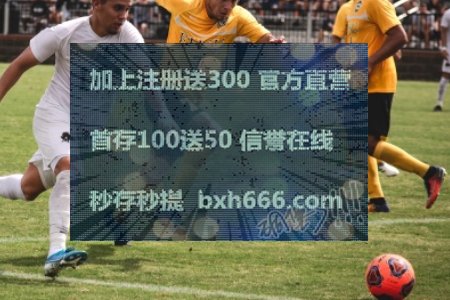 友人网手机大全