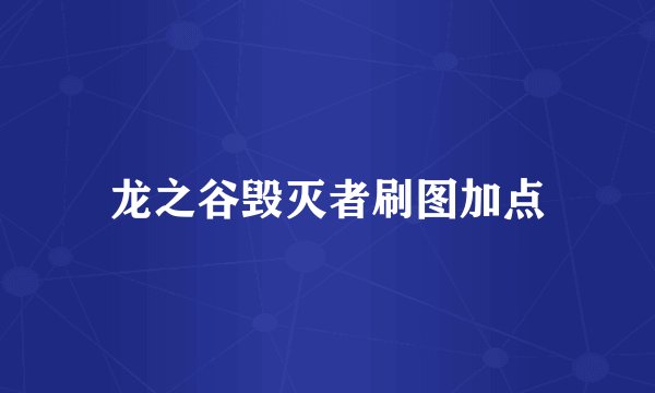 龙之谷毁灭者刷图加点