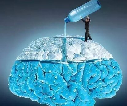 （）灯没有光（）鸟没有嘴（）兔没有毛，（）山没有石（）路没有车（什么树没有叶）？猜六个字组成一句话