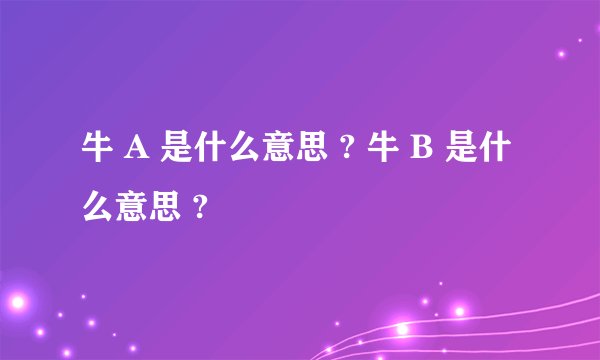牛 A 是什么意思 ? 牛 B 是什么意思 ?