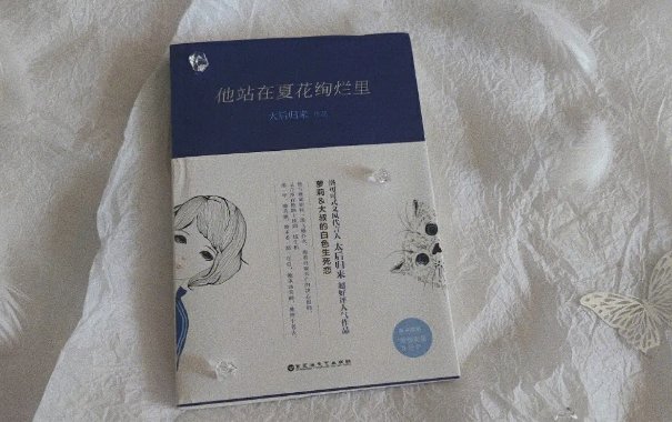 夏花原著小说叫什么