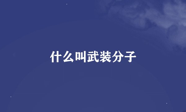 什么叫武装分子