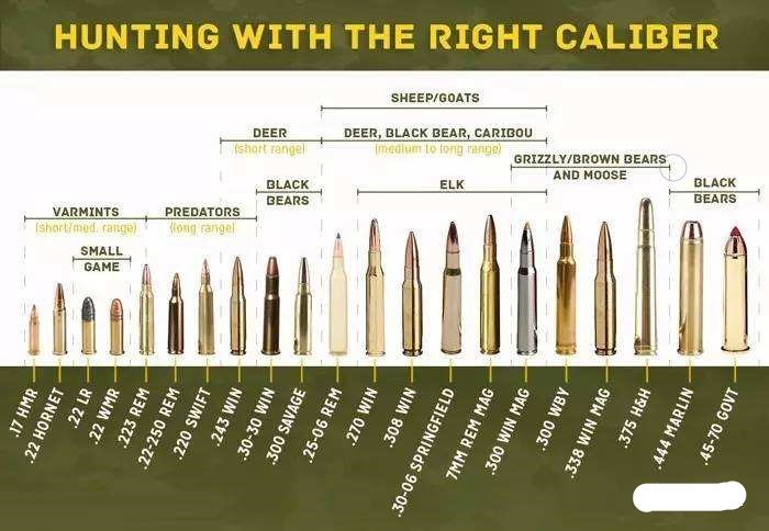 .45子弹和.38子弹大小一样吗？