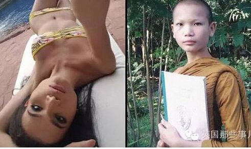 社会万象的介绍