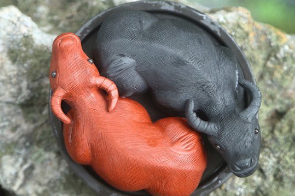 扭转乾坤打一正确生肖动物