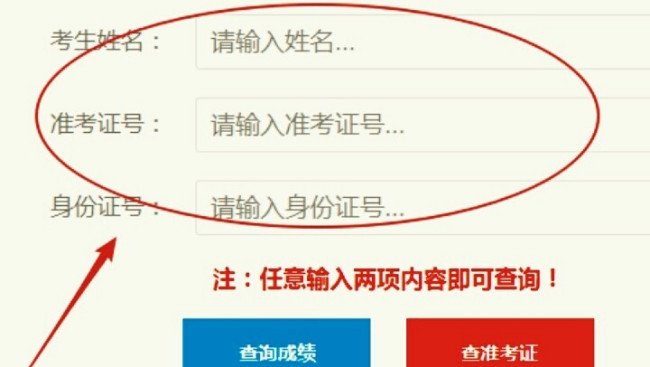 如何查询罗湖教育信息网成绩？