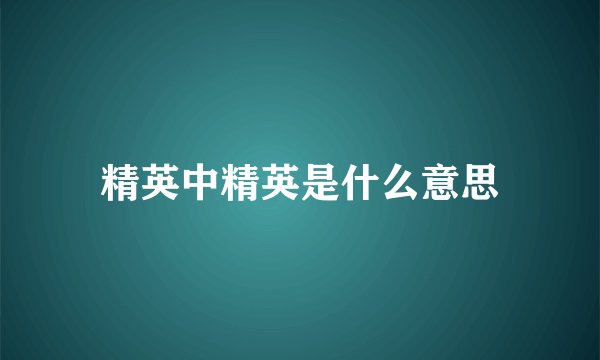 精英中精英是什么意思