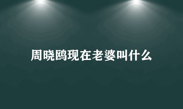 周晓鸥现在老婆叫什么