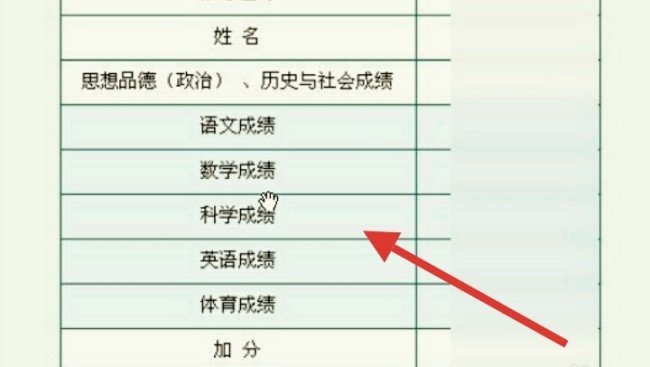 如何查询罗湖教育信息网成绩？