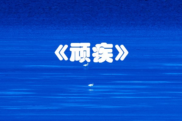 弄简小号的作品