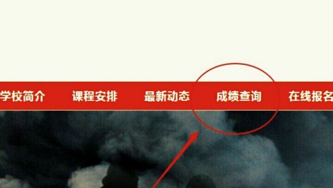 如何查询罗湖教育信息网成绩？