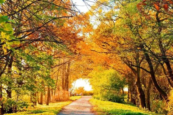 秋的声音有什么