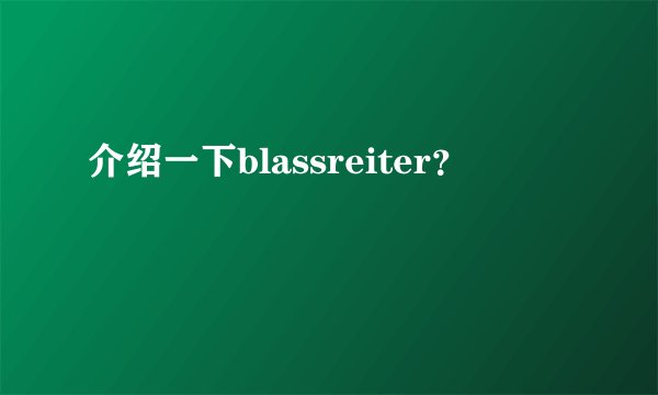 介绍一下blassreiter？