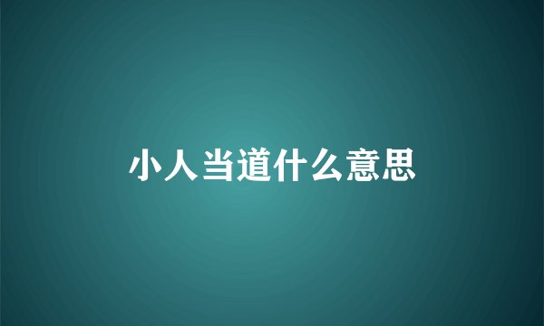 小人当道什么意思