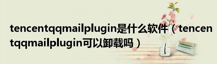 tencentqqmailplugin是什么软件tencentqqmailplugin可以卸载吗