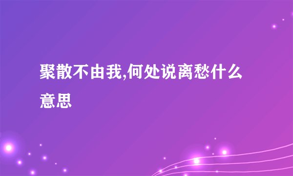 聚散不由我,何处说离愁什么意思