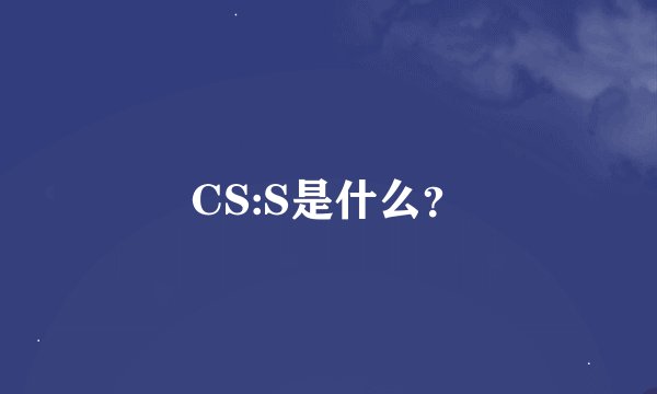CS:S是什么？